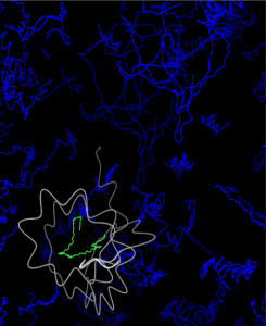 Molecular dynamics simulation